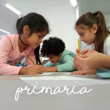 5º Primaria - Lote completo